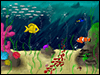 Coral Reef