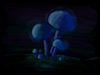 Glowing Fungi